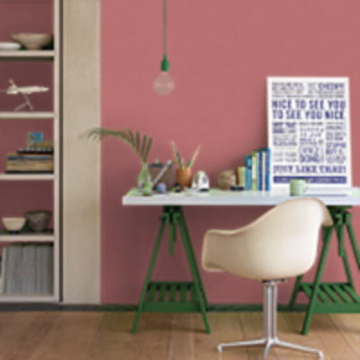 Краска Sanderson цвет Fire Pink 