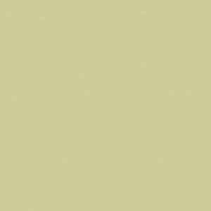 Краска Sanderson цвет Lime Cloud 