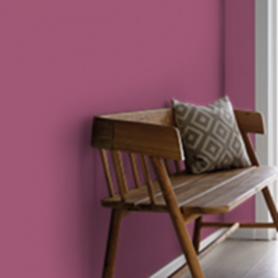 Краска Sanderson цвет Wild Plum Light 