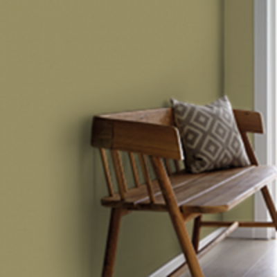 Краска Sanderson цвет Oxney Olive 