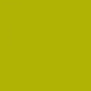 Краска Argile цвет Houblon Dore V51 