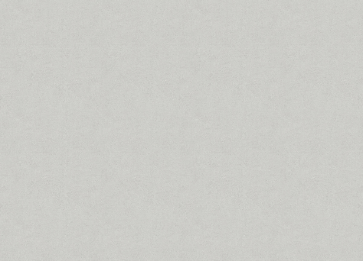 33506 Обои Marburg (Solid Contract - Newton) (1*4) 10,80x1,06 винил на флизелине