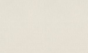 820003 Обои Rasch (Florentine Incanto) (1*6) 10,05x1,06 винил на флизелине