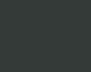 Краска Paint and Paper Library цвет New black 126