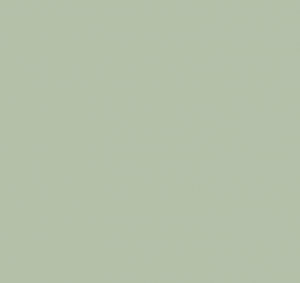Краска Paint & Paper Library  705, SPRIG V