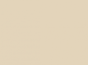 Краска Paint and Paper Library цвет Leather III 233  