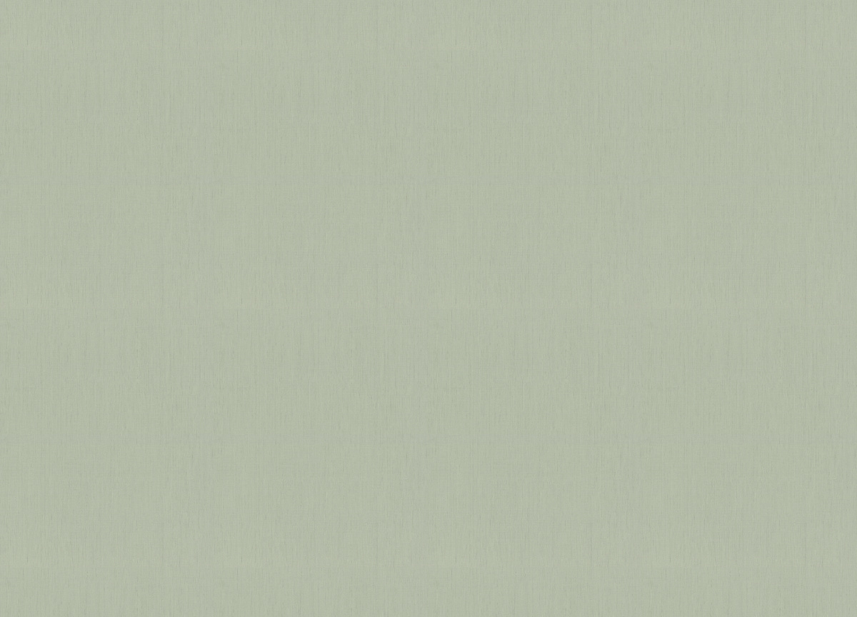 746136 Обои Rasch (Back to Nature) (1*12) 10,05x0,53 винил на флизелине
