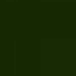Краска Argile цвет Spiruline V33 