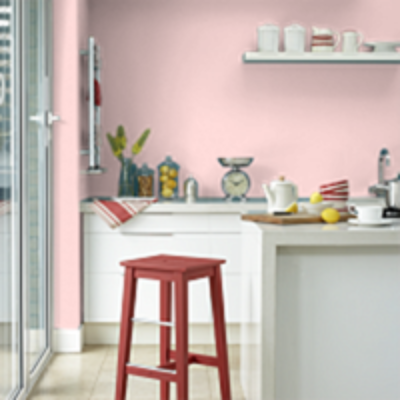 Краска Sanderson цвет Peony Pink 