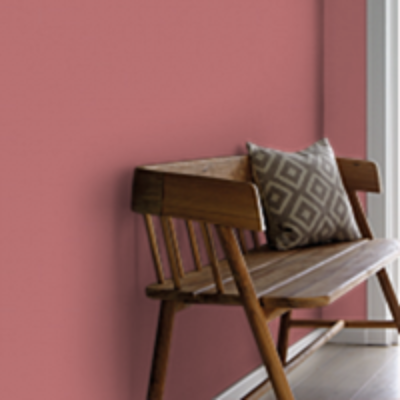 Краска Sanderson цвет Fire Pink 