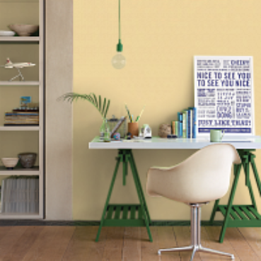 Краска Paint and Paper Library цвет Beeswax 470  