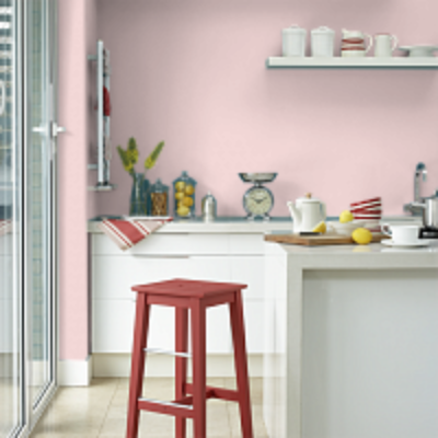 Краска Aeterna Architectural Colours 10. ЧАЙНАЯ РОЗА™