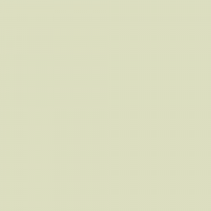 Краска Little Greene цвет NCS S 1010-G70Y Absolute Matt 0.25 л