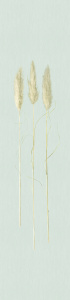 33270 Панно Marburg (Natural Opulence) (1*1) 3,30x0,70 винил на флизелине