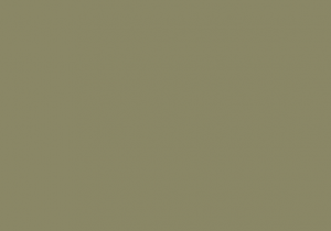 Краска Paint and Paper Library цвет The Botanist 574