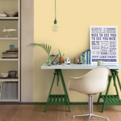 Краска Argile цвет Beige Limon T233 