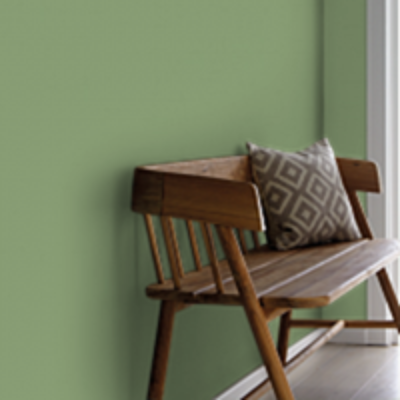 Краска Sanderson цвет Botanical Green 