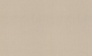 820041 Обои Rasch (Florentine Incanto) (1*6) 10,05x1,06 винил на флизелине