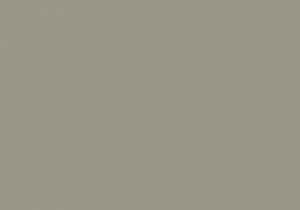 Краска Paint and Paper Library цвет Stone V 205  