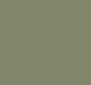 Краска Paint & Paper Library   569, SENCHA
