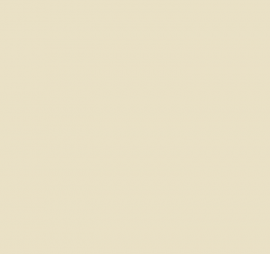 Краска Paint & Paper Library  494, CASHMERE IV