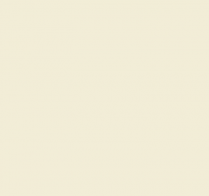 Краска Paint & Paper Library 493, CASHMERE III