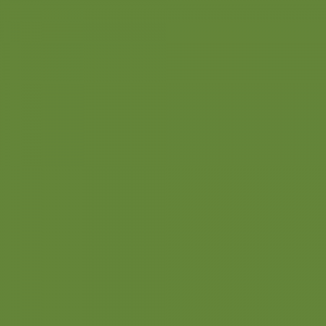 Краска Little Greene цвет Sage & Onions 288