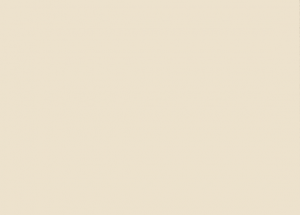 Краска Paint and Paper Library цвет Leather II 232 