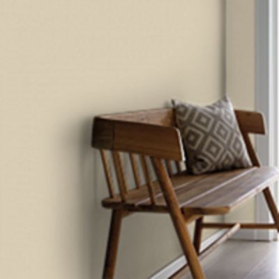 Краска Sanderson цвет Beige Shadow 