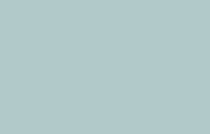 C6 04 Обои HYGGE Roll (77 Colors) (1*6) 10,05x1,00 флизелин