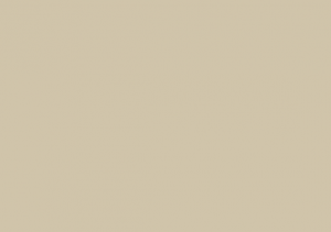 Краска Paint and Paper Library цвет Canvas IV 304 
